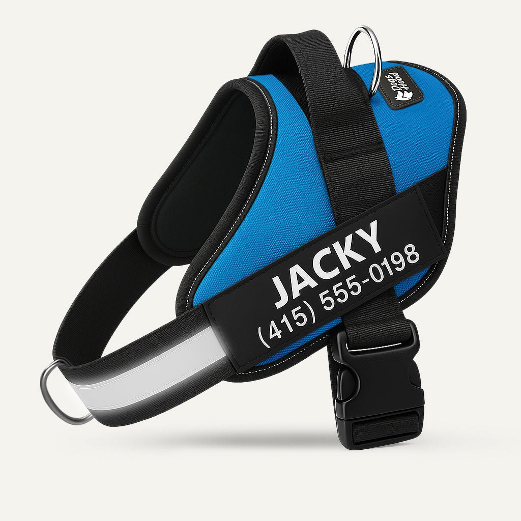 Dogshood product image