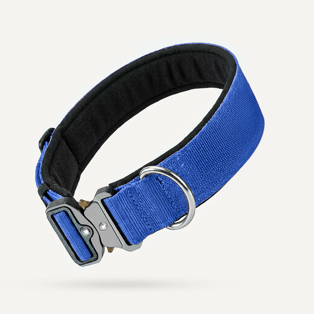 Dogshood product image