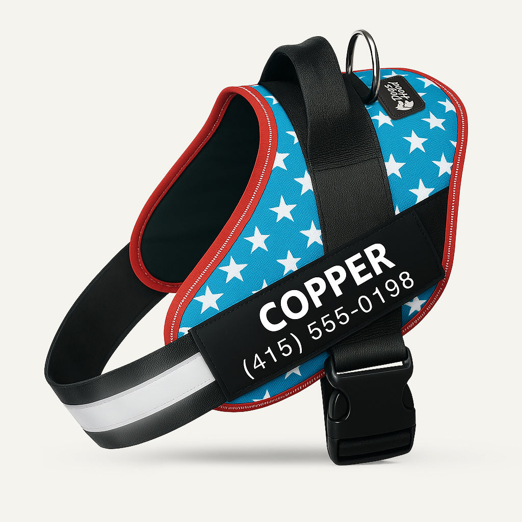 USA
