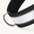 Dogshood product image