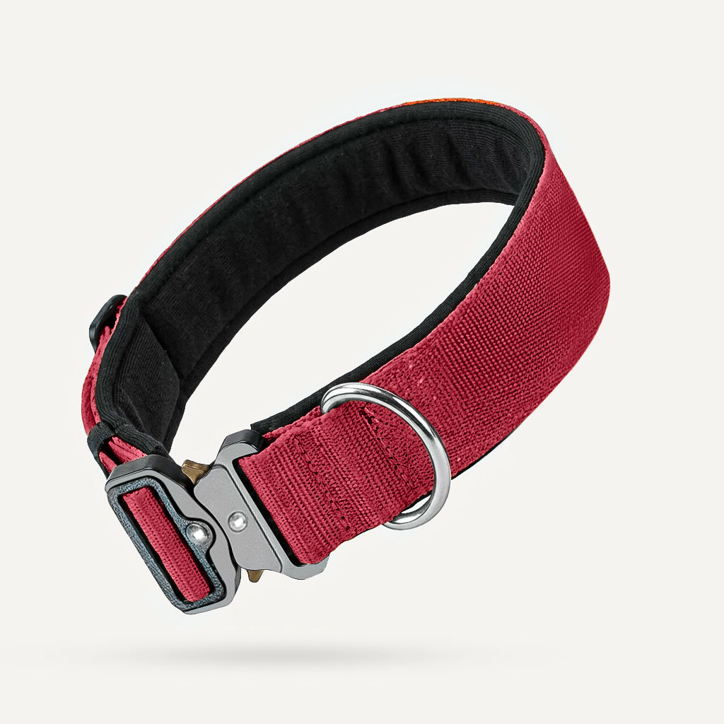 Dogshood product image