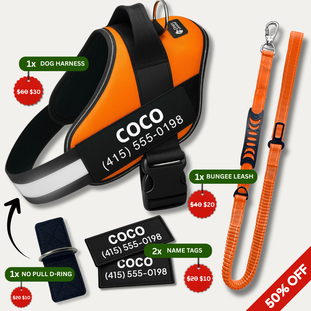 Dogshood product image