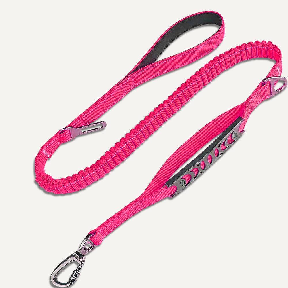 Dogshood product image
