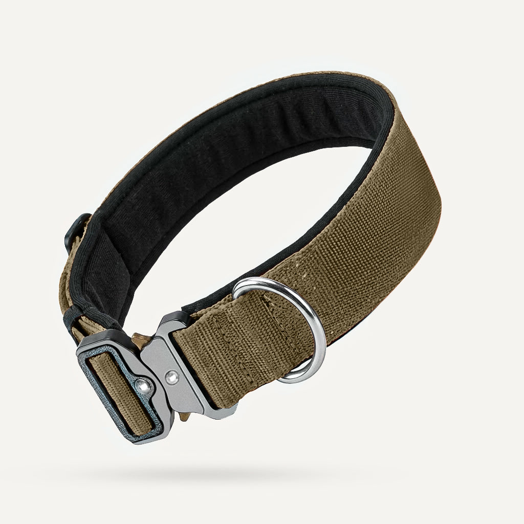 Dogshood product image