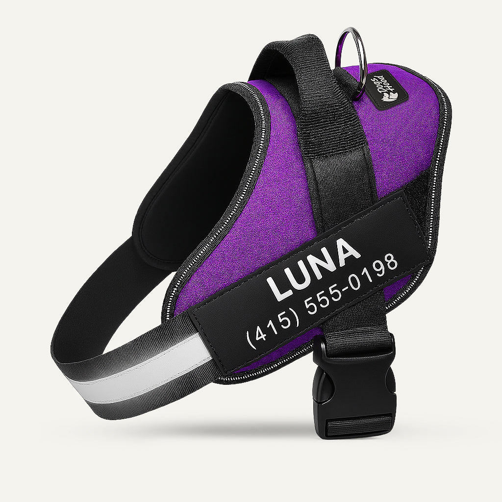 Dogshood product image