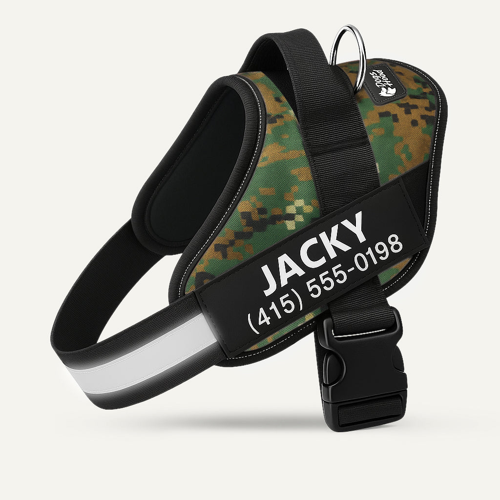 Dogshood product image