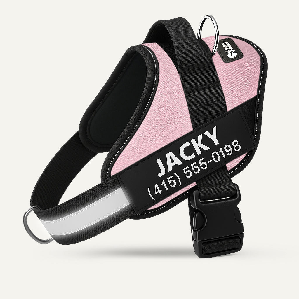 Dogshood product image