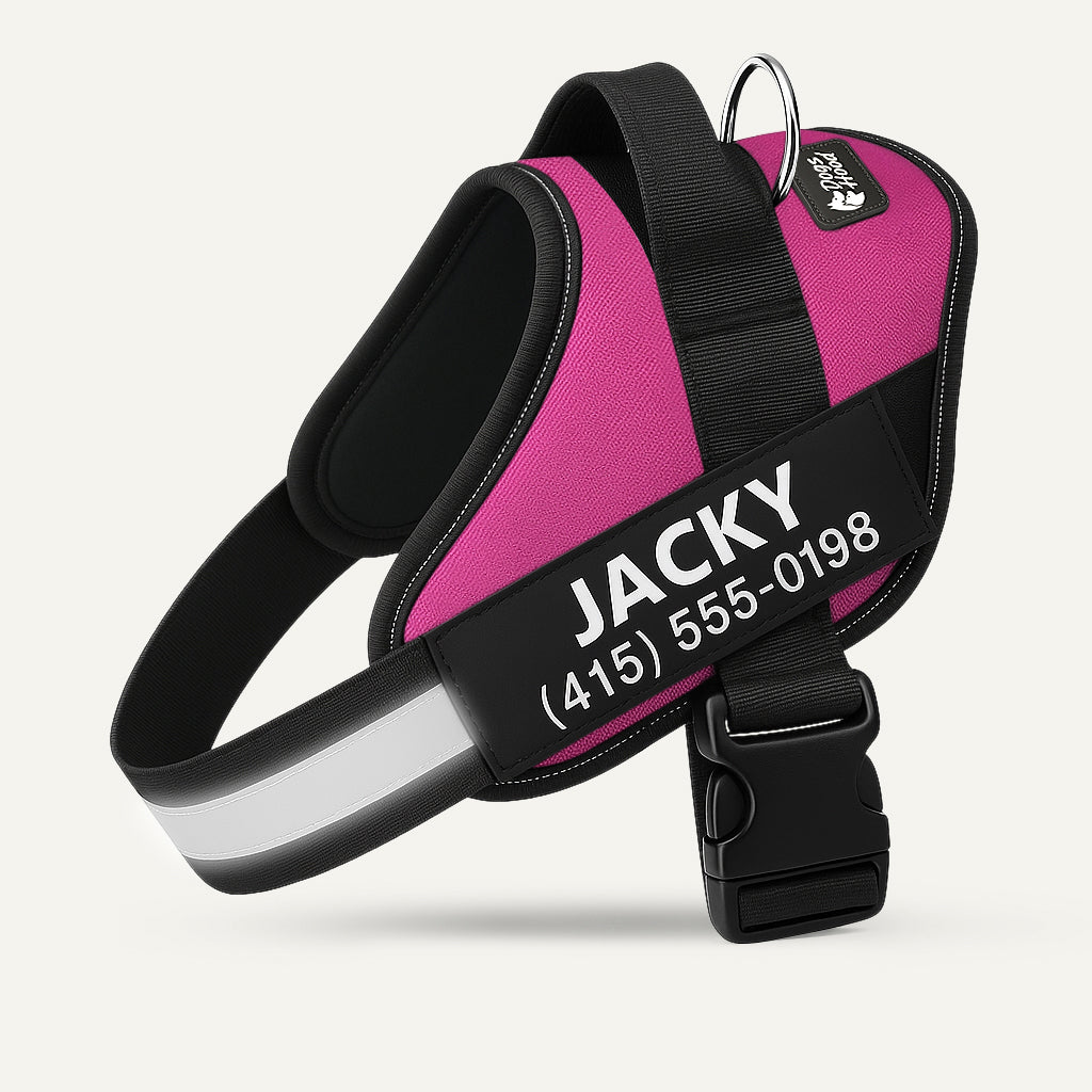 Dogshood product image