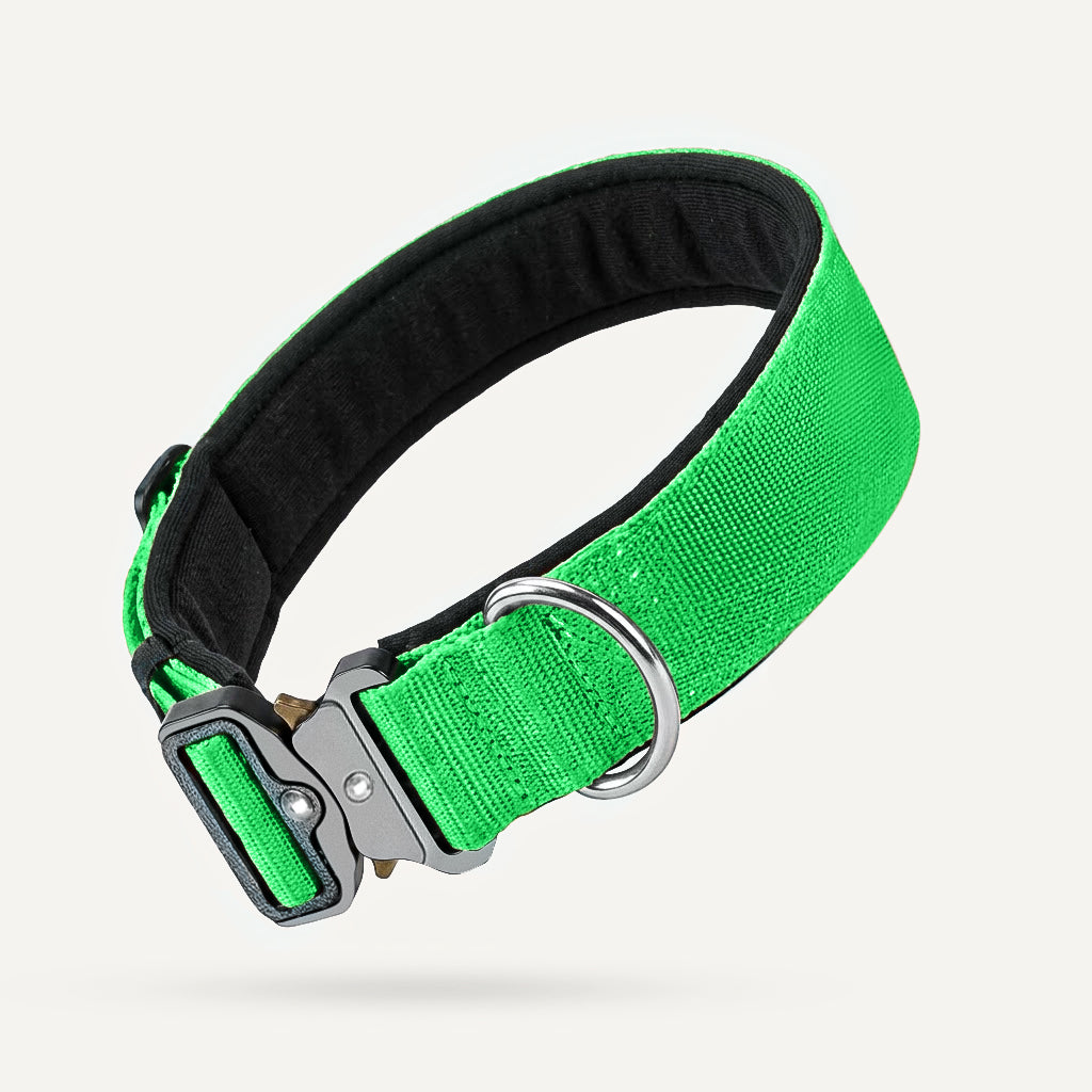 Dogshood product image