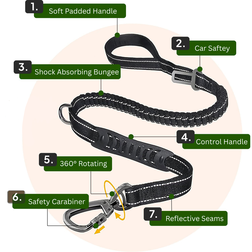Dogshood product image