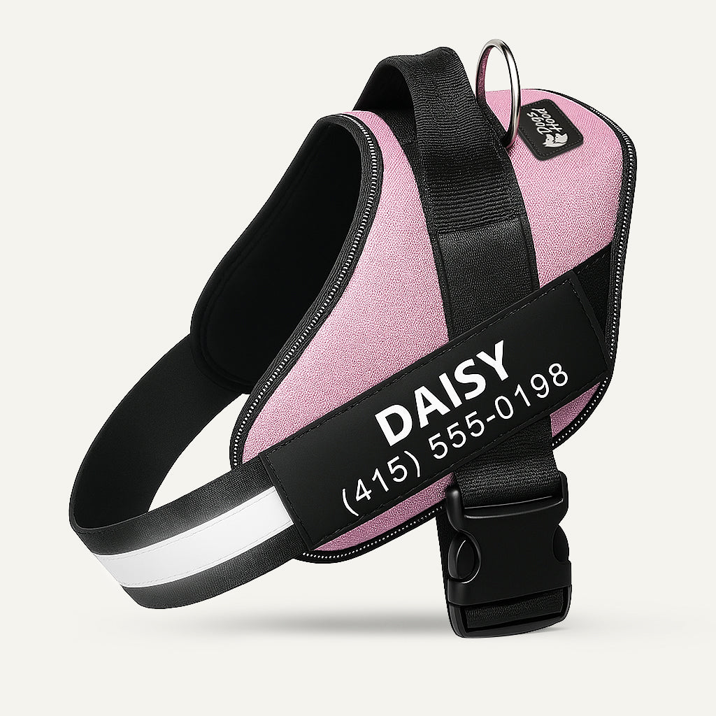 Dogshood product image