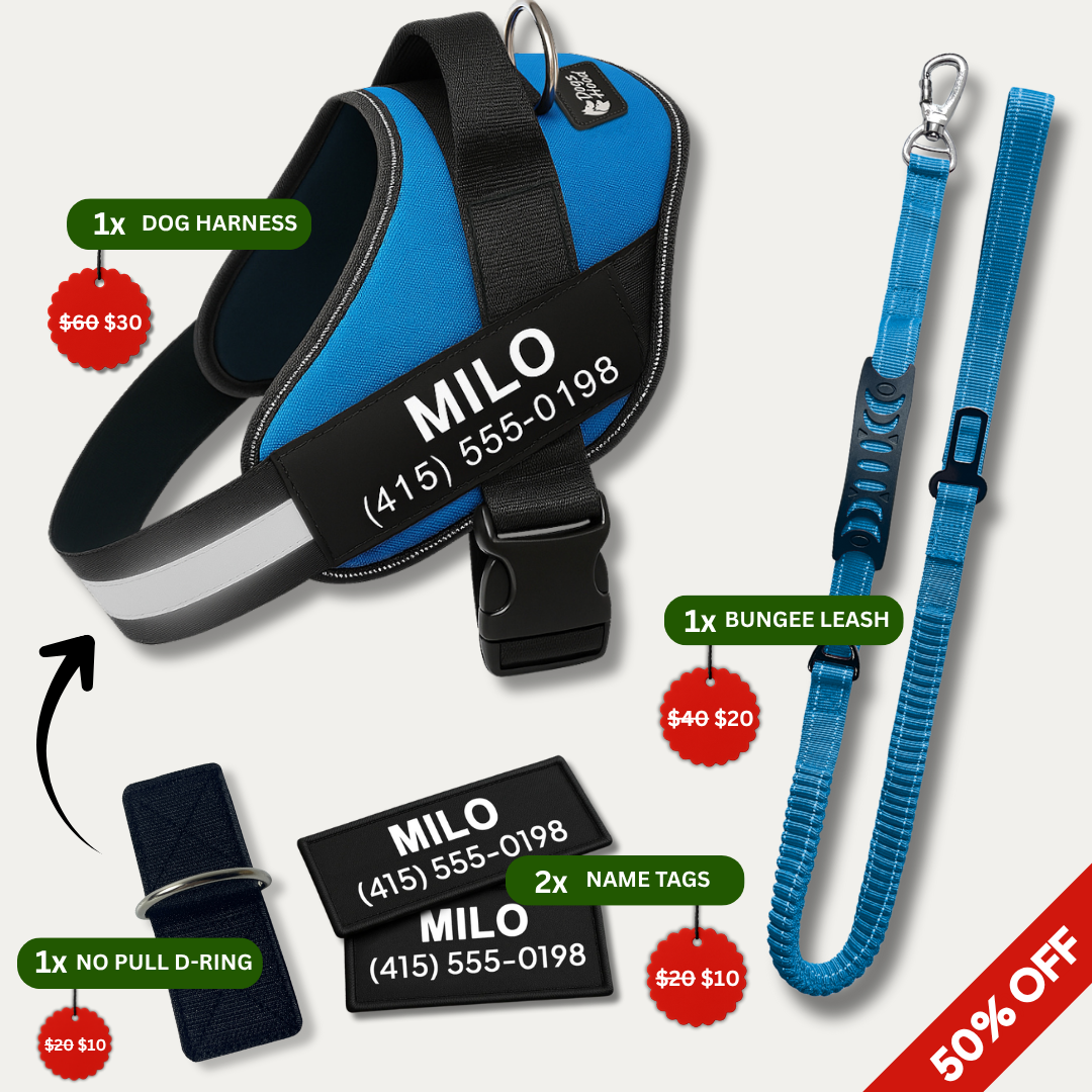 Dogshood product image