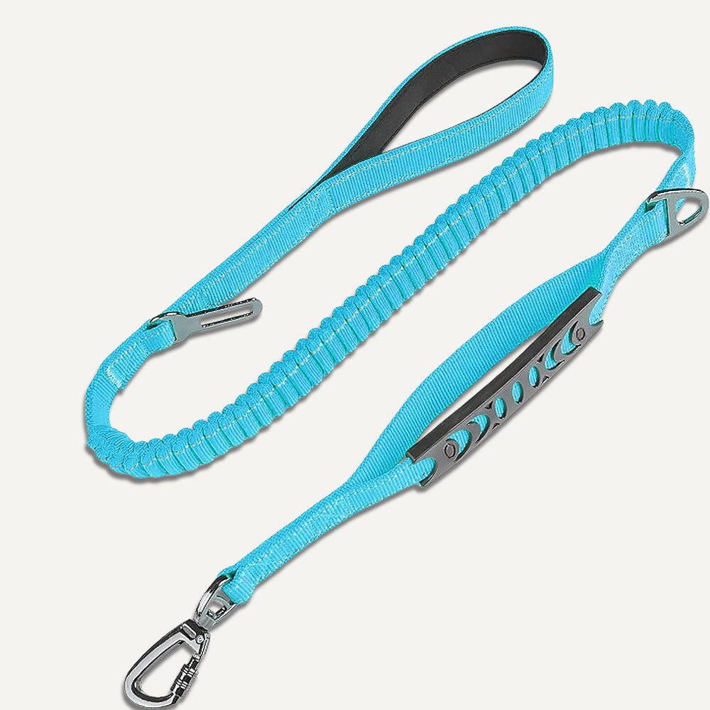 Dogshood product image