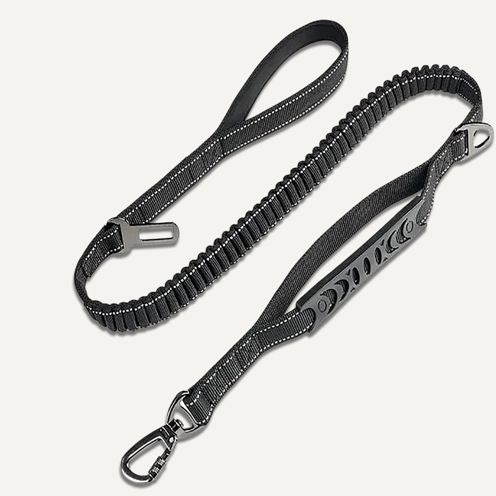 Dogshood product image