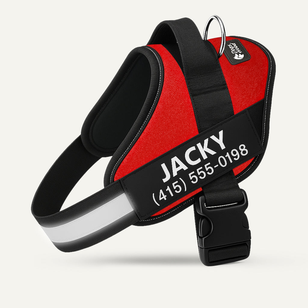 Dogshood product image