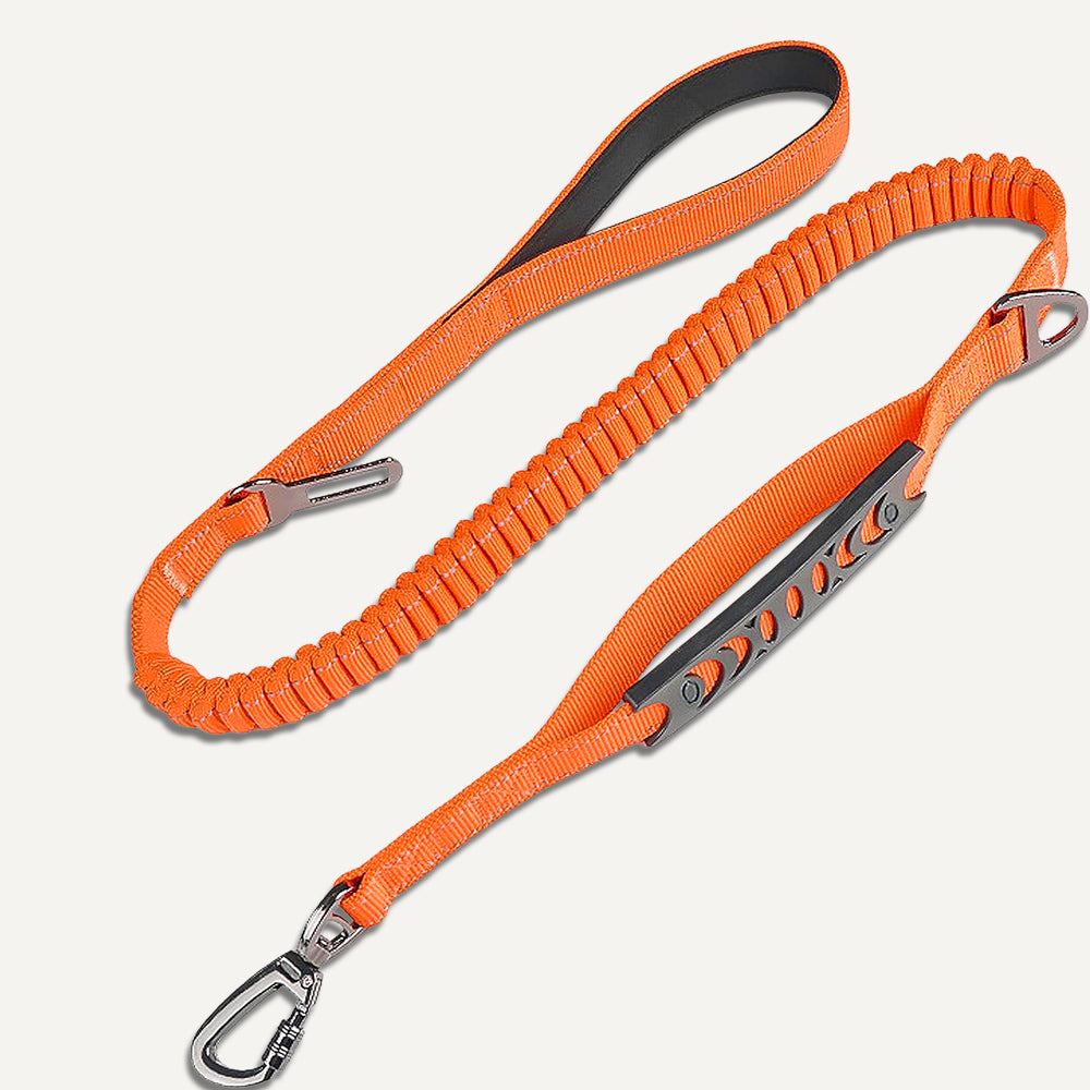 Dogshood product image