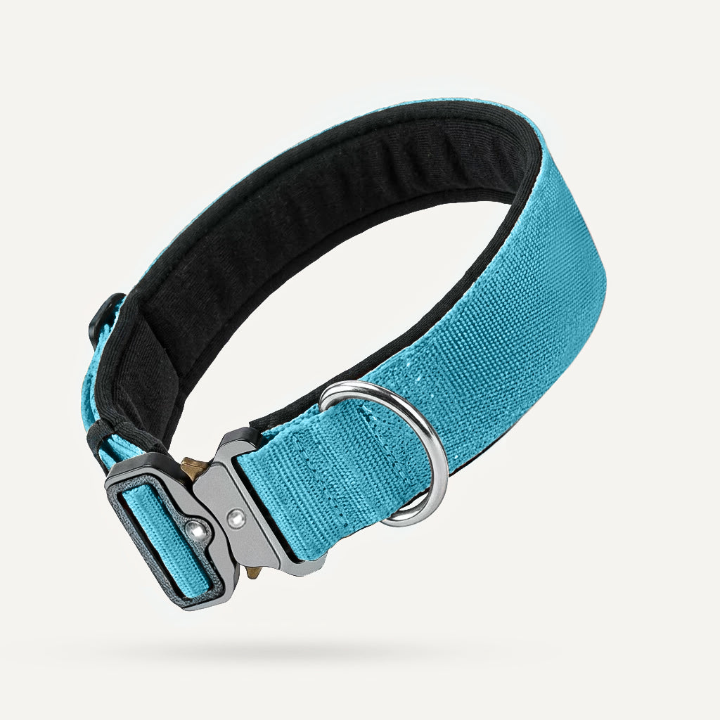 Dogshood product image