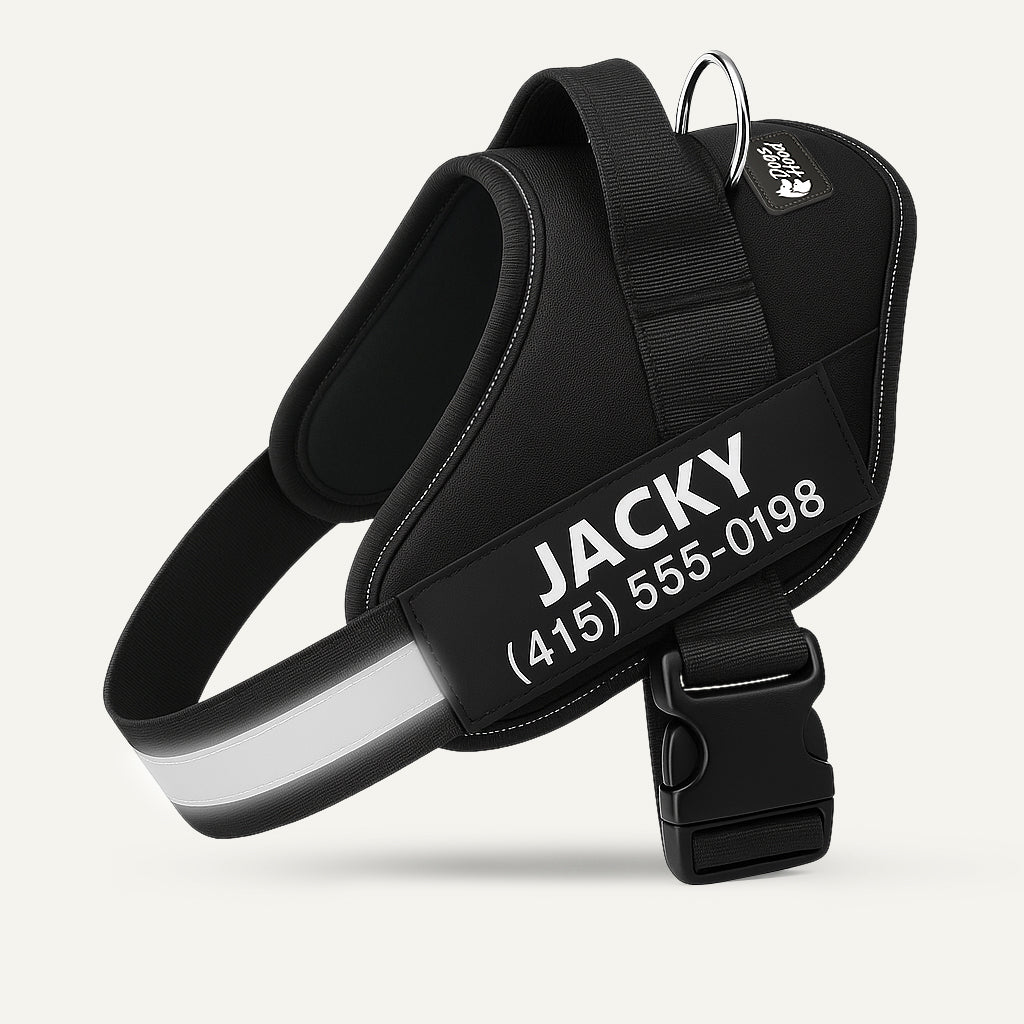 Dogshood product image