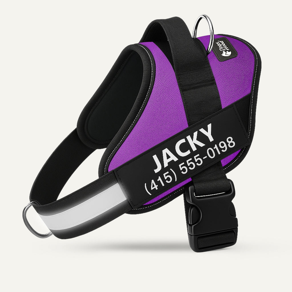 Dogshood product image