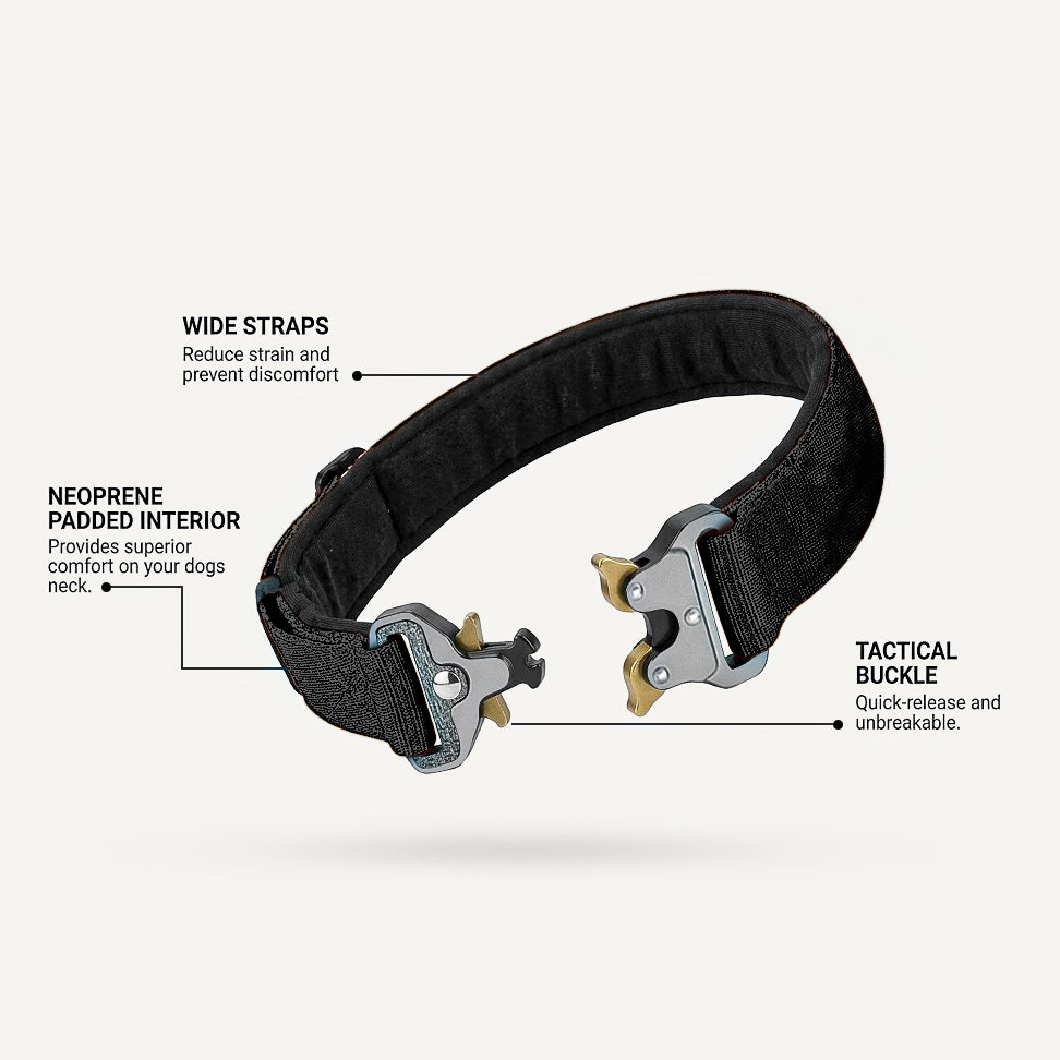 Dogshood product image