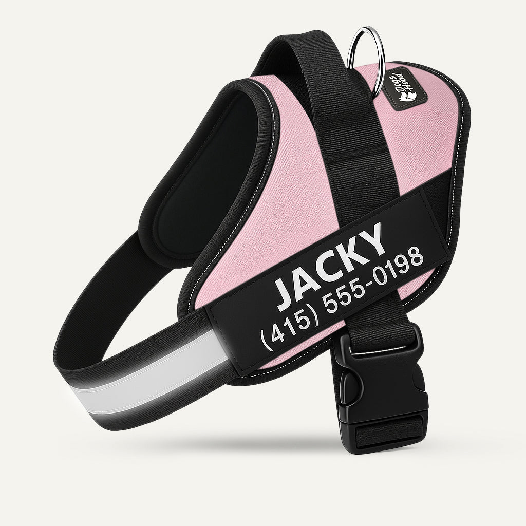 Dogshood product image