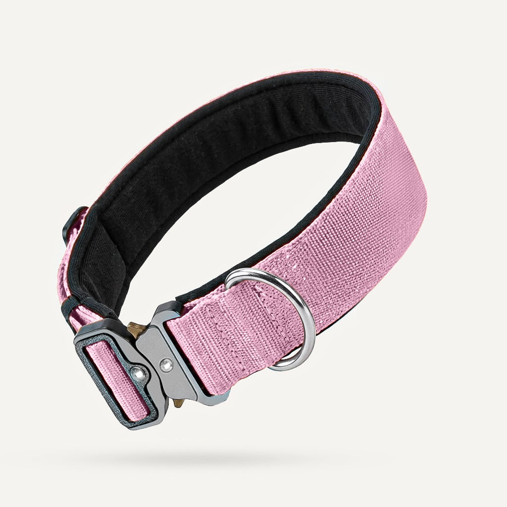 Dogshood product image