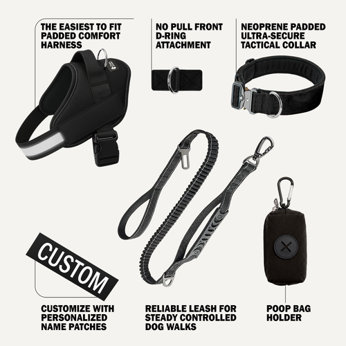 Dogshood product image