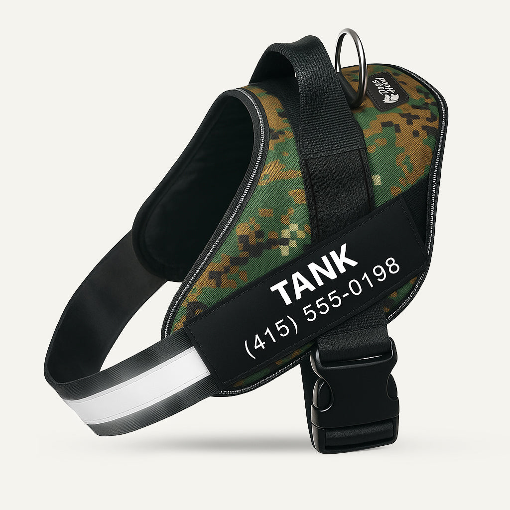 Dogshood product image