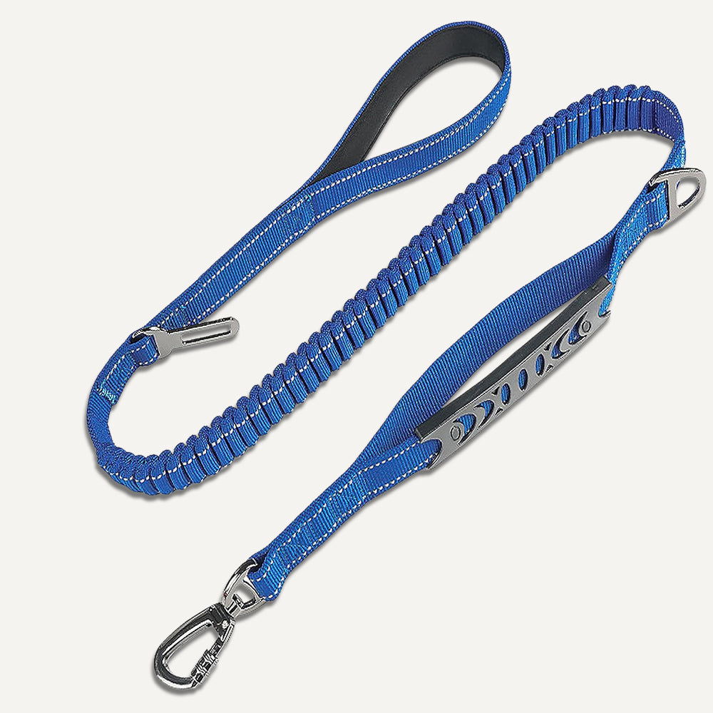 Dogshood product image