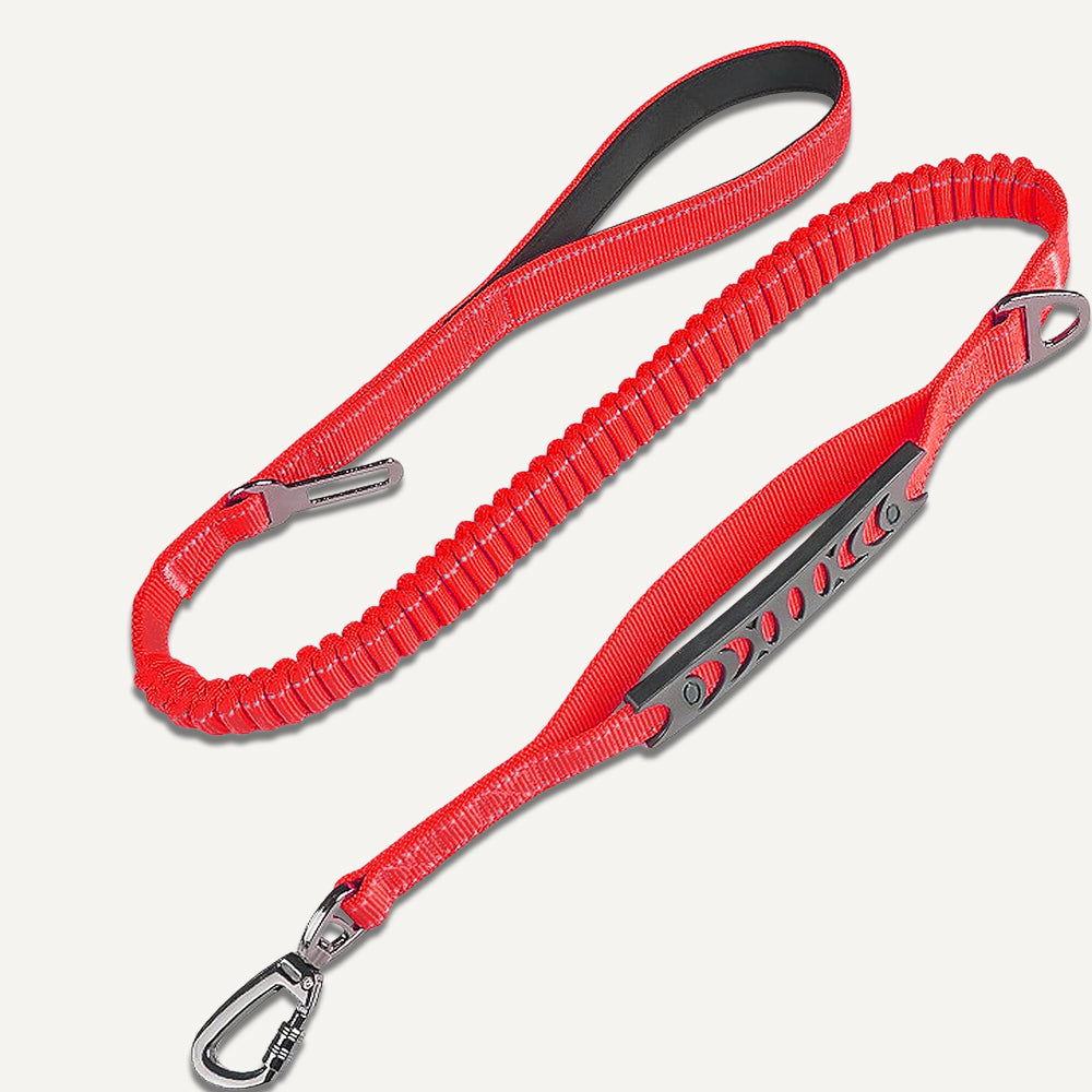 Dogshood product image