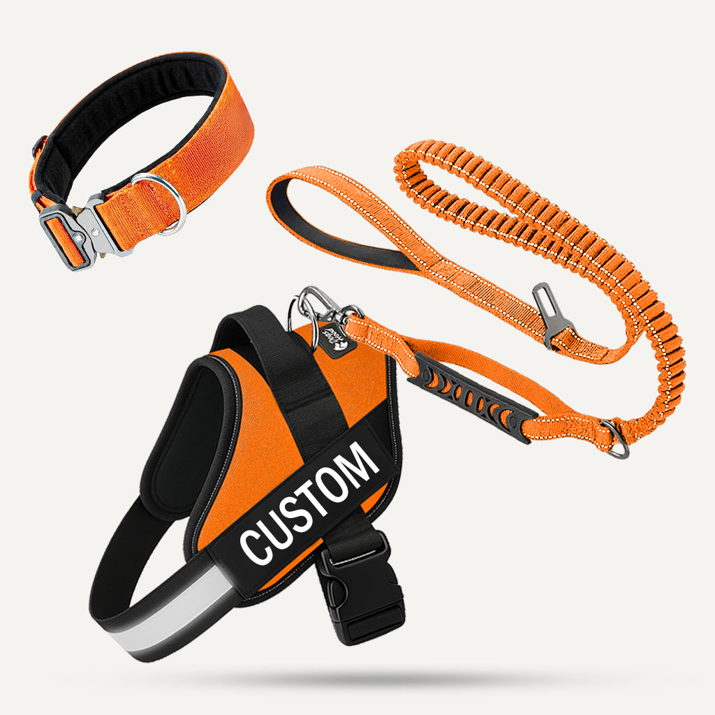 Dogshood product image