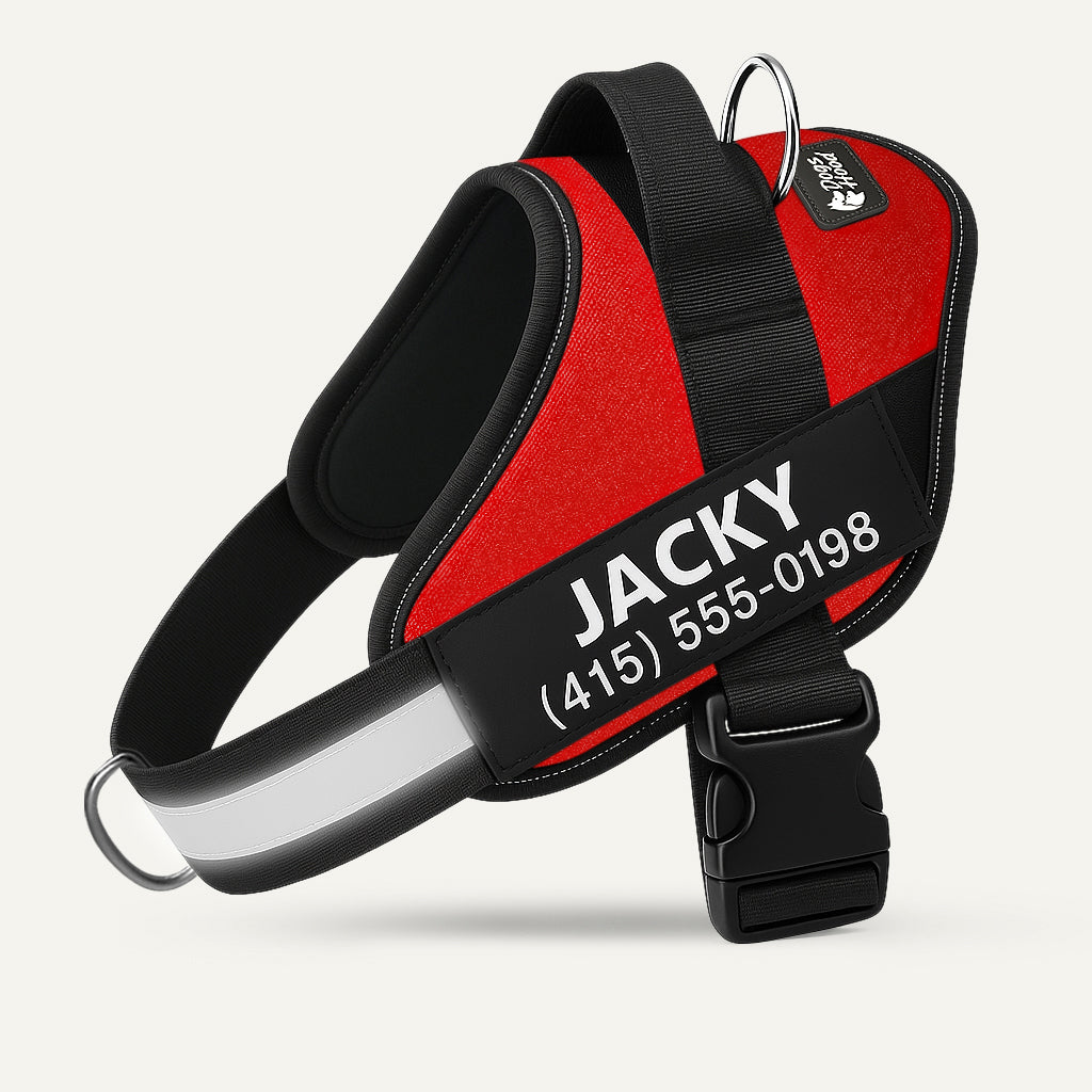 Dogshood product image