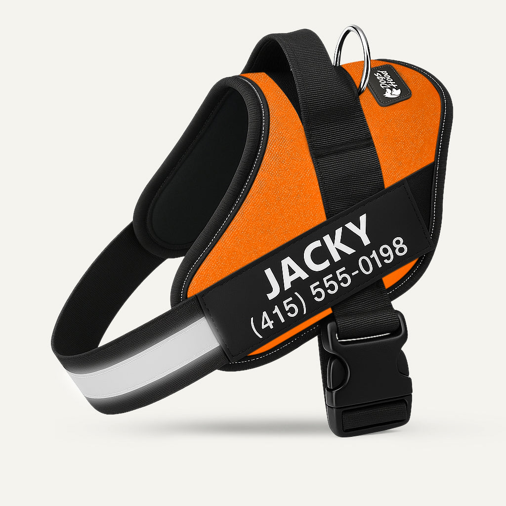 Dogshood product image