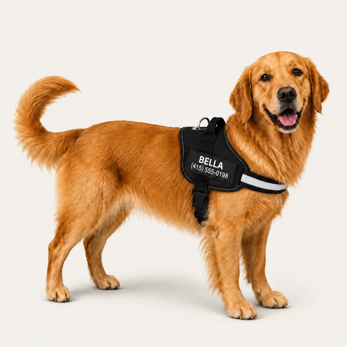 Dogshood product image