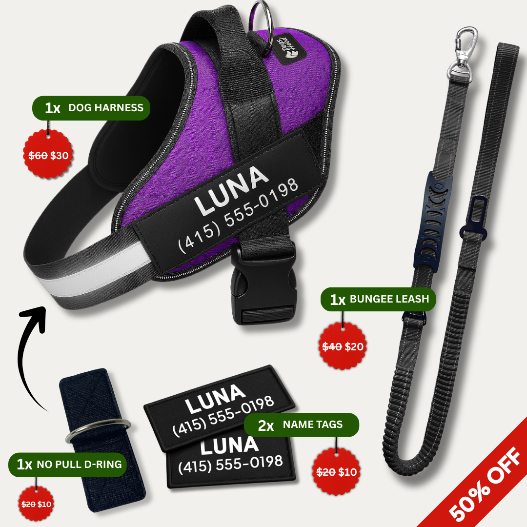 Dogshood product image